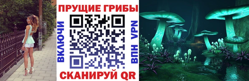 Галлюциногенные грибы мицелий Красноармейск